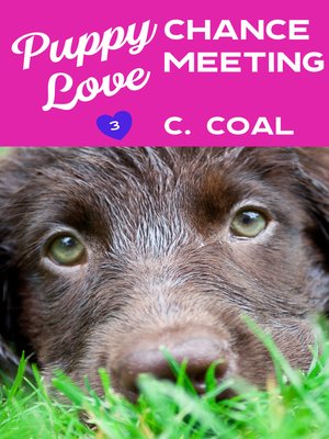 cover image of Puppy Love Chance Meeting